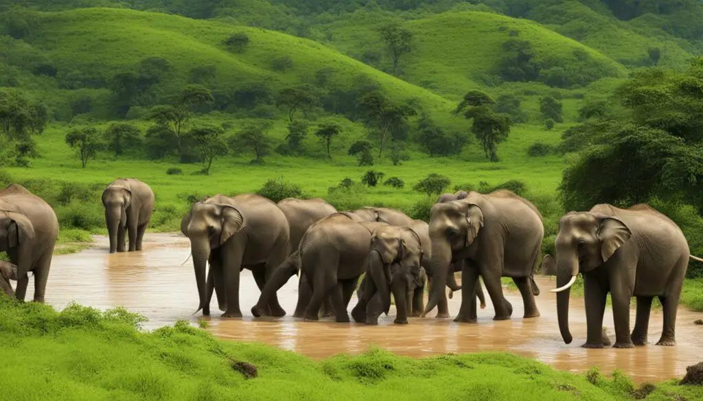 eco-friendly elephant sanctuaries