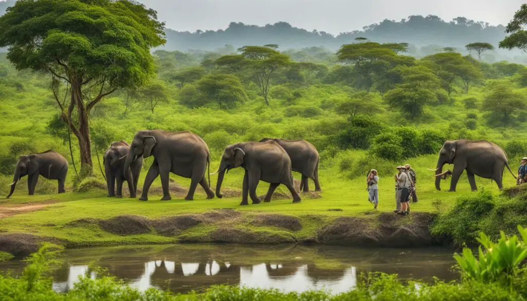 ethical elephant tourism