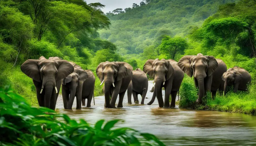 sustainable elephant sanctuaries
